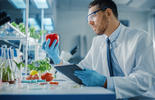 Certificación para la Inocuidad Alimentaria