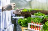 Pruebas a alimentos Mérieux NutriSciences